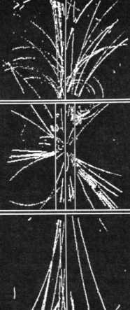 bosone.jpg (14143 byte)