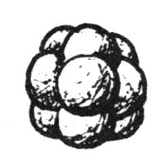 carbonio.jpg (6339 byte)