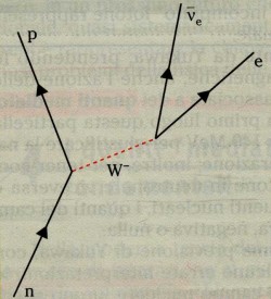 bosone.jpg (19824 byte)