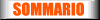 SOMMARIO