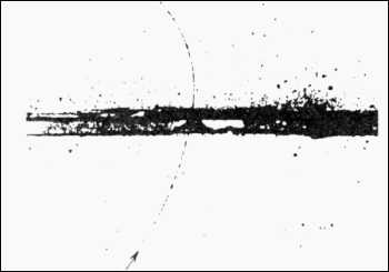antie.jpg (7095 byte)