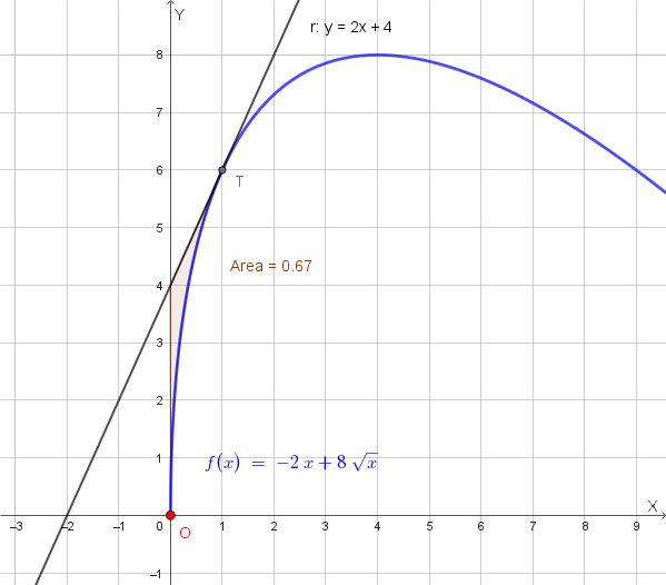 Rappresentazione grafica della regione di cui si chiede l'area