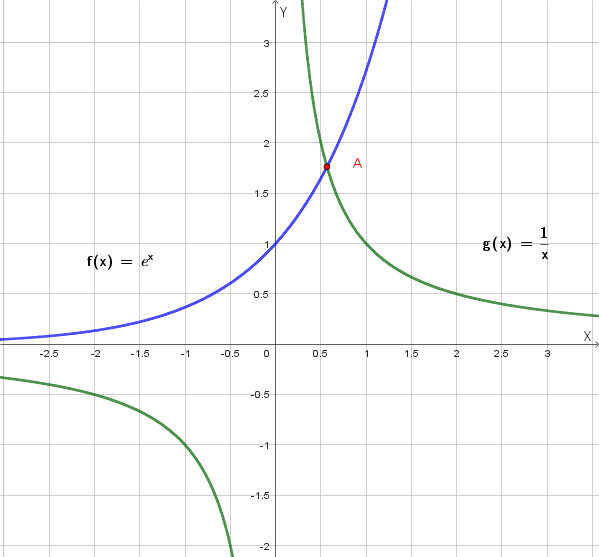 Confronto grafico fra e^x e 1/x